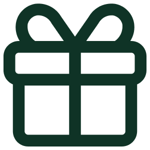 bonus icon